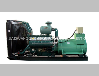 Diesel Generator Set WD series